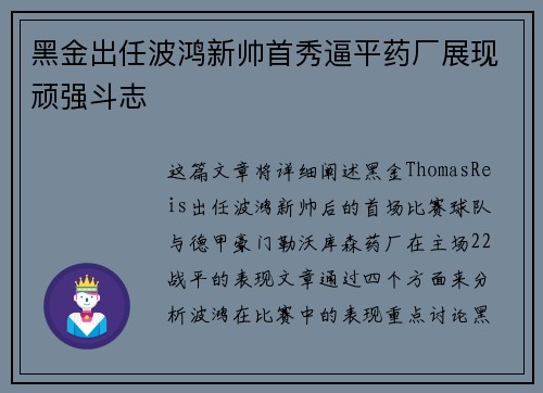 黑金出任波鸿新帅首秀逼平药厂展现顽强斗志 黑金出任波鸿新帅首秀逼平药厂展现顽强斗志
